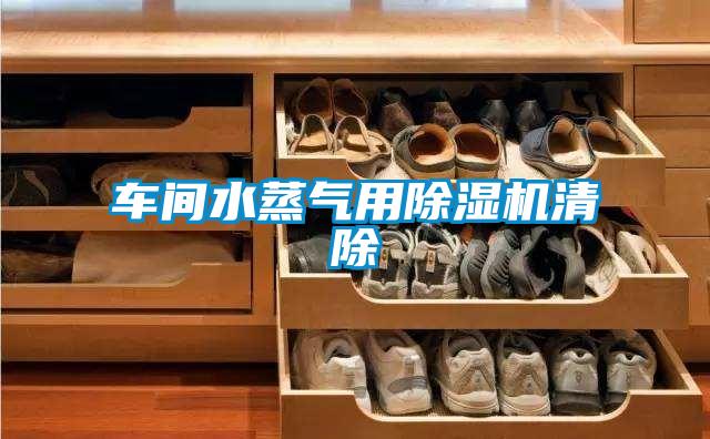 車(chē)間水蒸氣用除濕機(jī)清除