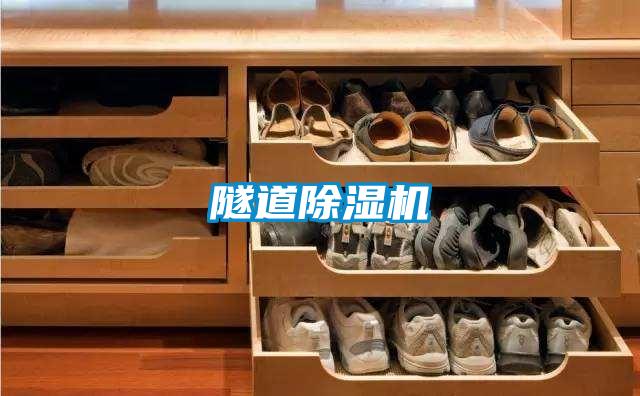 隧道除濕機(jī)
