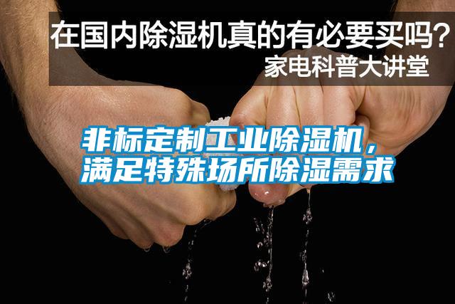 非標(biāo)定制工業(yè)除濕機，滿足特殊場所除濕需求