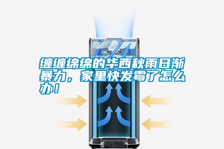 纏纏綿綿的華西秋雨日漸暴力，家里快發(fā)霉了怎么辦！