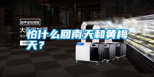 怕什么回南天和黃梅天？