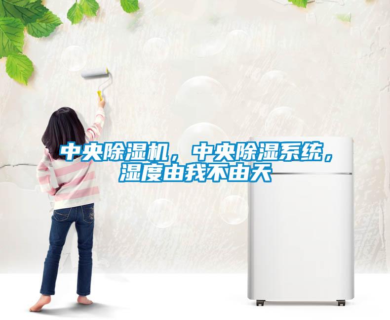 中央除濕機(jī)，中央除濕系統(tǒng)，濕度由我不由天