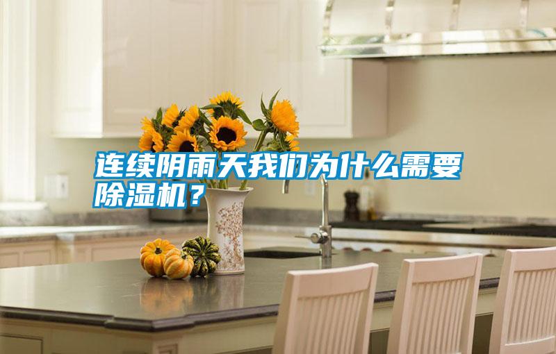 連續(xù)陰雨天我們?yōu)槭裁葱枰凉駲C(jī)？