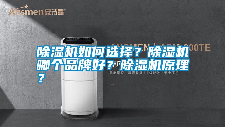 除濕機如何選擇？除濕機哪個品牌好？除濕機原理？