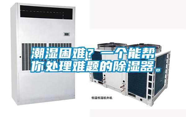 潮濕困難？一個能幫你處理難題的除濕器。