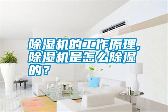 除濕機的工作原理,除濕機是怎么除濕的？