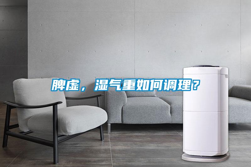 脾虛，濕氣重如何調(diào)理？