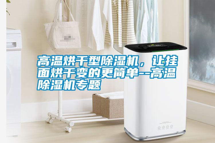 高溫烘干型除濕機(jī)，讓掛面烘干變的更簡(jiǎn)單--高溫除濕機(jī)專題