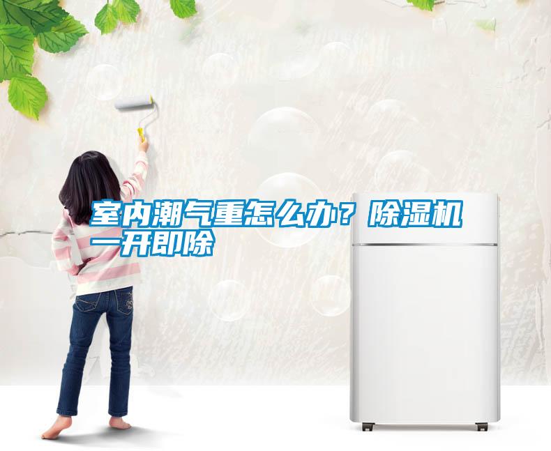 室內(nèi)潮氣重怎么辦？除濕機一開即除