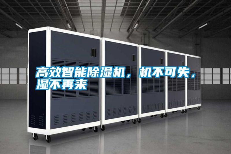 高效智能除濕機(jī)，機(jī)不可失，濕不再來(lái)