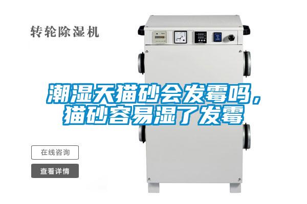 潮濕天貓砂會發(fā)霉嗎，貓砂容易濕了發(fā)霉