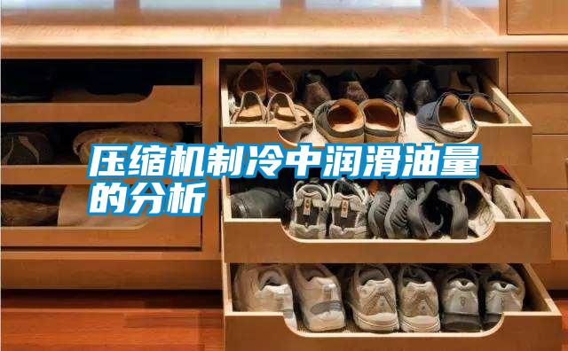 壓縮機(jī)制冷中潤(rùn)滑油量的分析