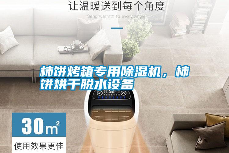 柿餅烤箱專(zhuān)用除濕機(jī)，柿餅烘干脫水設(shè)備
