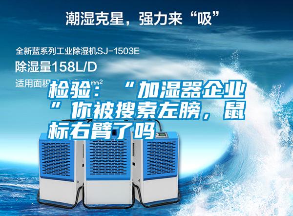 檢驗：“加濕器企業(yè)”你被搜索左膀，鼠標右臂了嗎