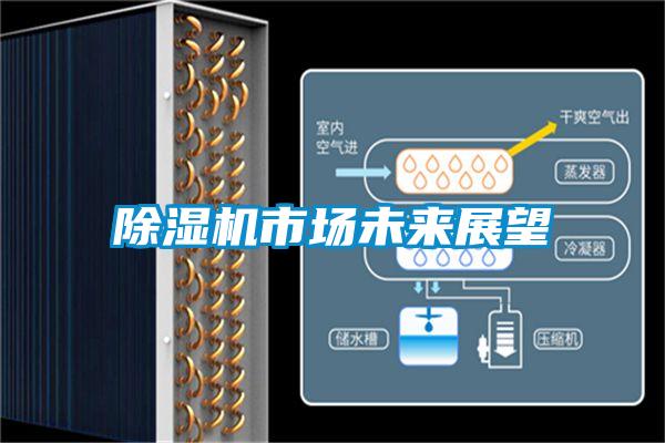 除濕機(jī)市場未來展望