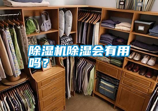 除濕機除濕會有用嗎？