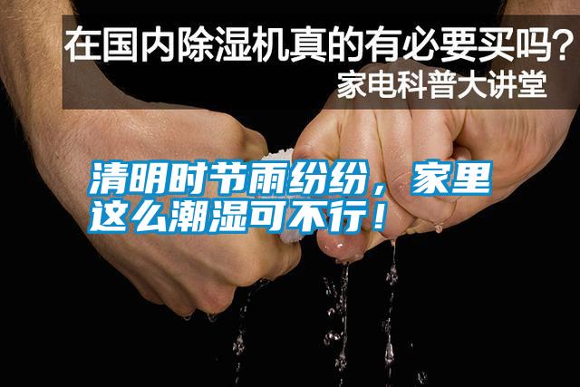 清明時節(jié)雨紛紛，家里這么潮濕可不行！