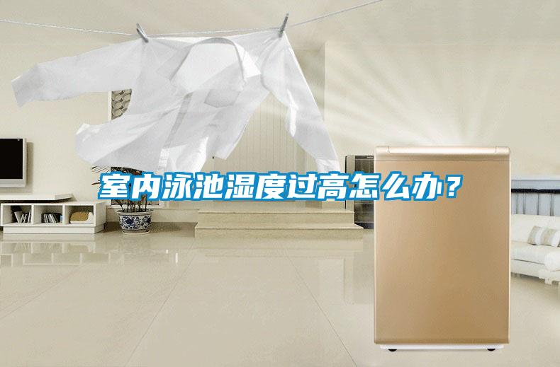 室內(nèi)泳池濕度過高怎么辦？