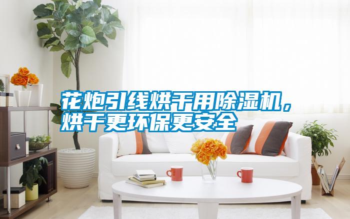 花炮引線烘干用除濕機，烘干更環(huán)保更安全