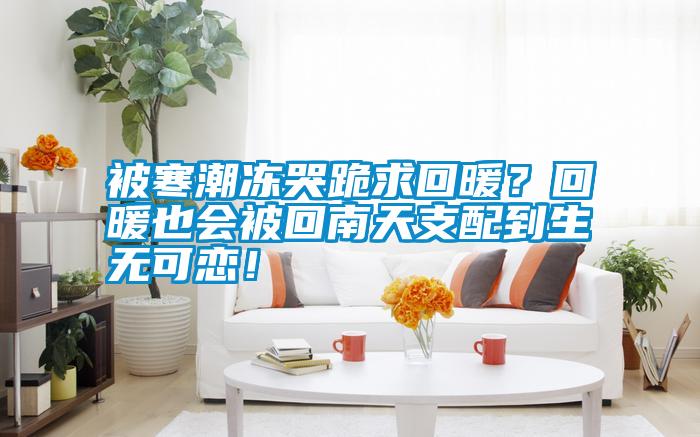 被寒潮凍哭跪求回暖？回暖也會(huì)被回南天支配到生無可戀！