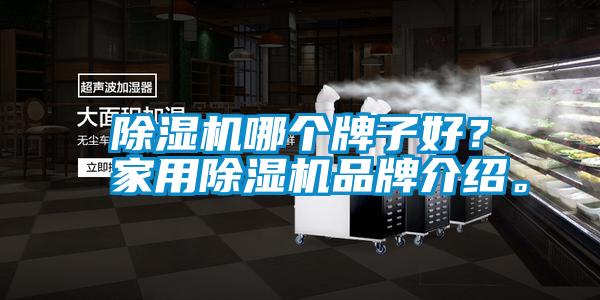 除濕機(jī)哪個(gè)牌子好？家用除濕機(jī)品牌介紹。