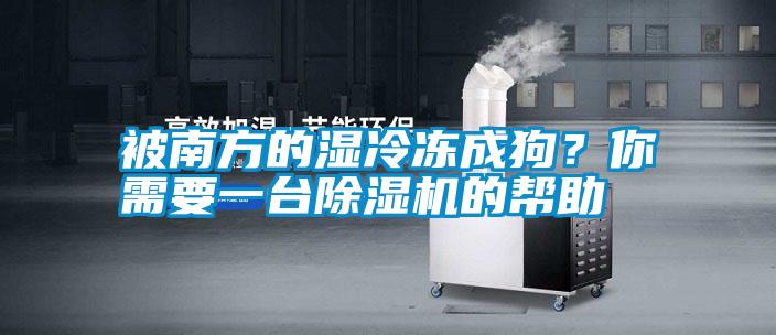 被南方的濕冷凍成狗？你需要一臺(tái)除濕機(jī)的幫助
