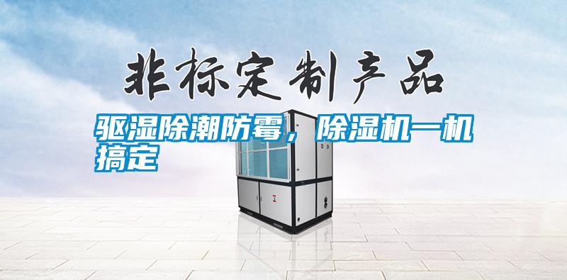 驅(qū)濕除潮防霉，除濕機(jī)一機(jī)搞定