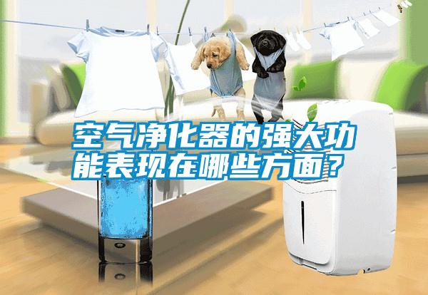 空氣凈化器的強(qiáng)大功能表現(xiàn)在哪些方面？