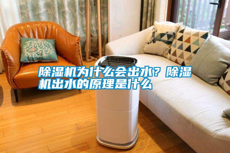 除濕機為什么會出水？除濕機出水的原理是什么