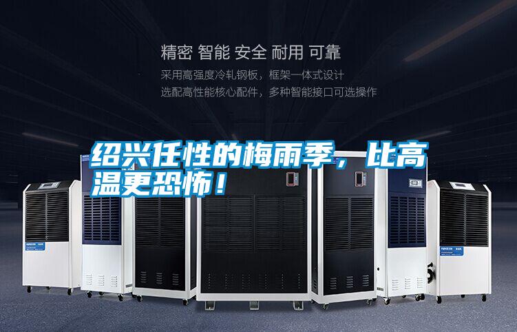 紹興任性的梅雨季，比高溫更恐怖！