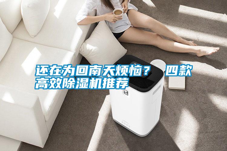 還在為回南天煩惱？ 四款高效除濕機(jī)推薦