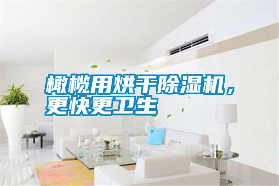 橄欖用烘干除濕機(jī)，更快更衛(wèi)生