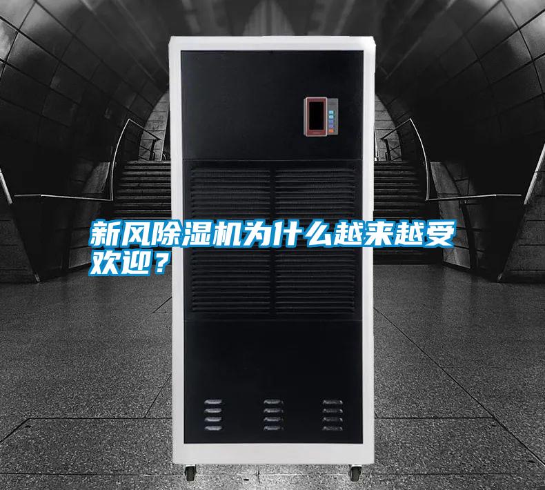 新風除濕機為什么越來越受歡迎？