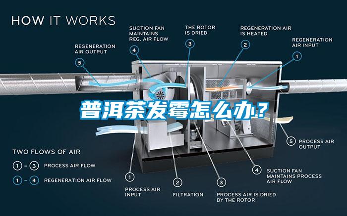 普洱茶發(fā)霉怎么辦？