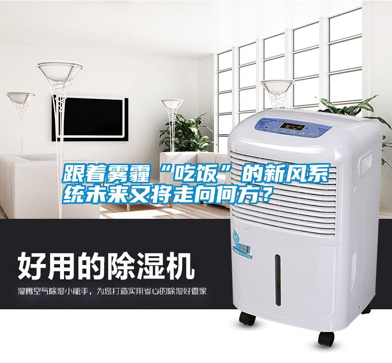 跟著霧霾“吃飯”的新風(fēng)系統(tǒng)未來(lái)又將走向何方？