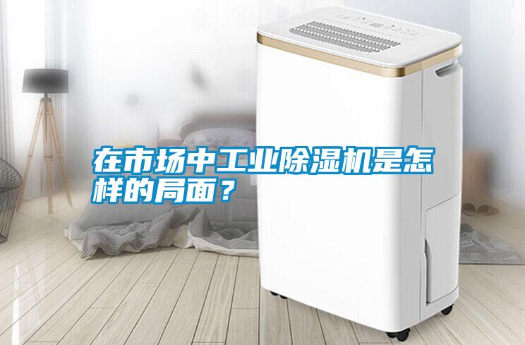 在市場中工業(yè)除濕機是怎樣的局面？