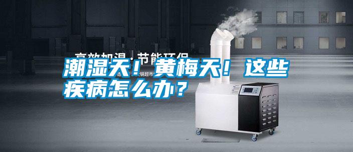 潮濕天！黃梅天！這些疾病怎么辦？