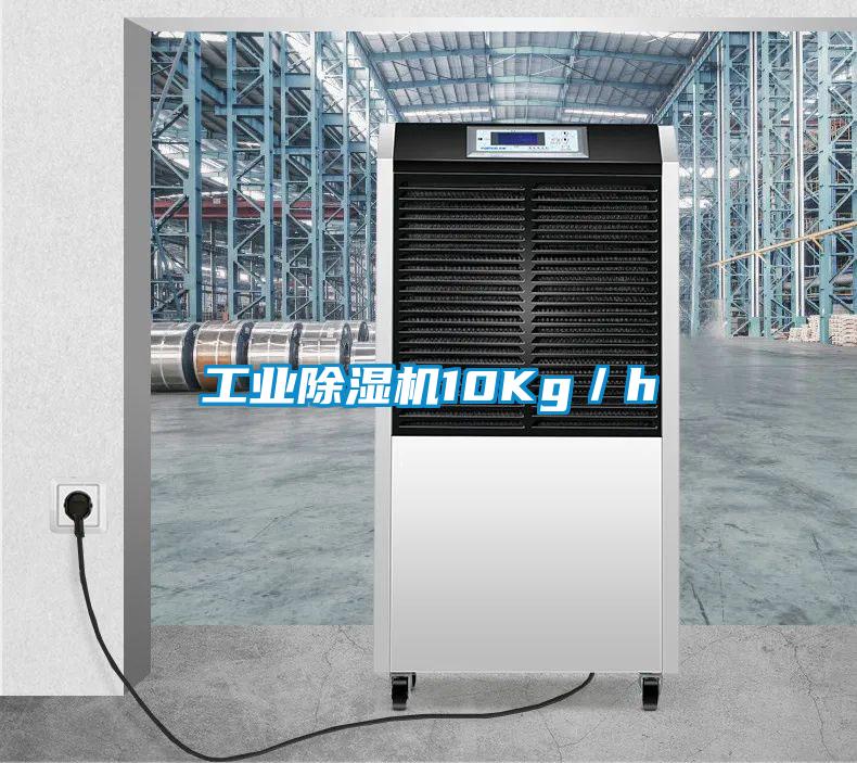 工業(yè)除濕機10Kg／h
