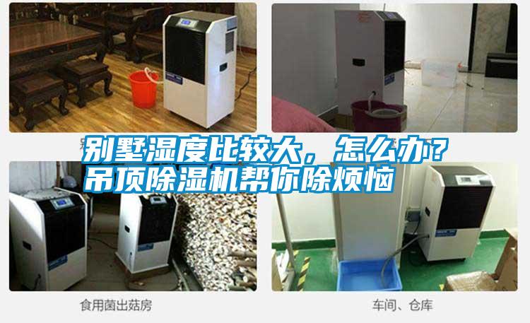 別墅濕度比較大，怎么辦？吊頂除濕機幫你除煩惱