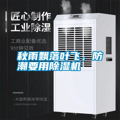 秋雨飄落葉飛，防潮要用除濕機