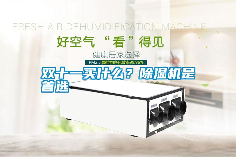 雙十一買(mǎi)什么？除濕機(jī)是首選