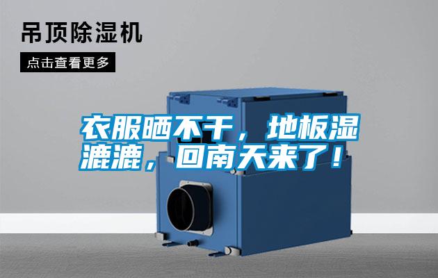 衣服曬不干，地板濕漉漉，回南天來了！