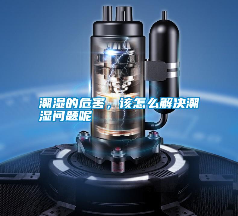 潮濕的危害，該怎么解決潮濕問題呢