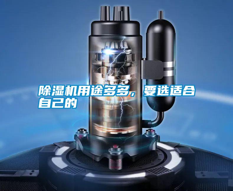 除濕機用途多多，要選適合自己的