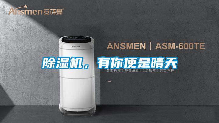 除濕機(jī)，有你便是晴天