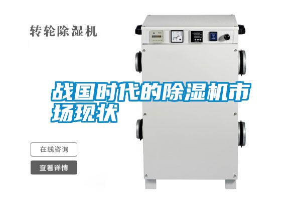 戰(zhàn)國時代的除濕機市場現(xiàn)狀