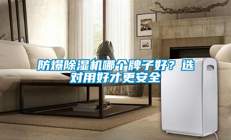 防爆除濕機(jī)哪個(gè)牌子好？選對(duì)用好才更安全