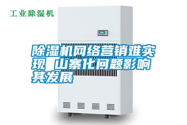 除濕機網(wǎng)絡(luò)營銷難實現(xiàn) 山寨化問題影響其發(fā)展