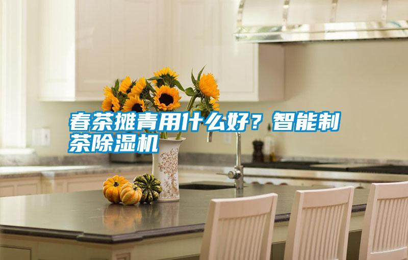 春茶攤青用什么好？智能制茶除濕機