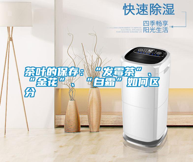 茶葉的保存：“發(fā)霉茶”、“金花”、“白霜”如何區(qū)分